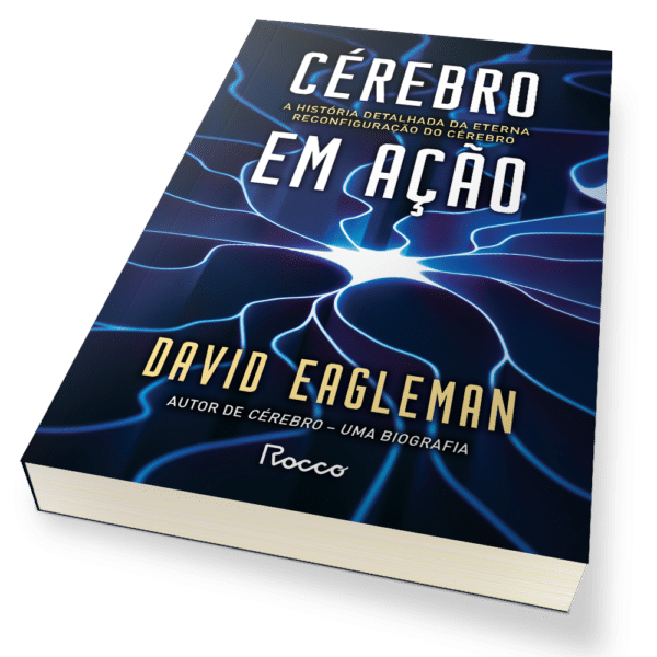 Cérebro em ação
