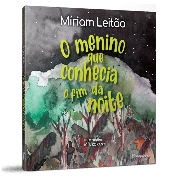 O menino que conhecia o fim da noite