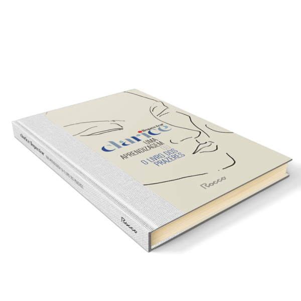 Uma aprendizagem ou o livro dos prazeres