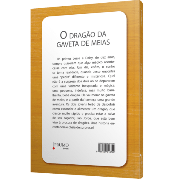 O dragão da gaveta de meias